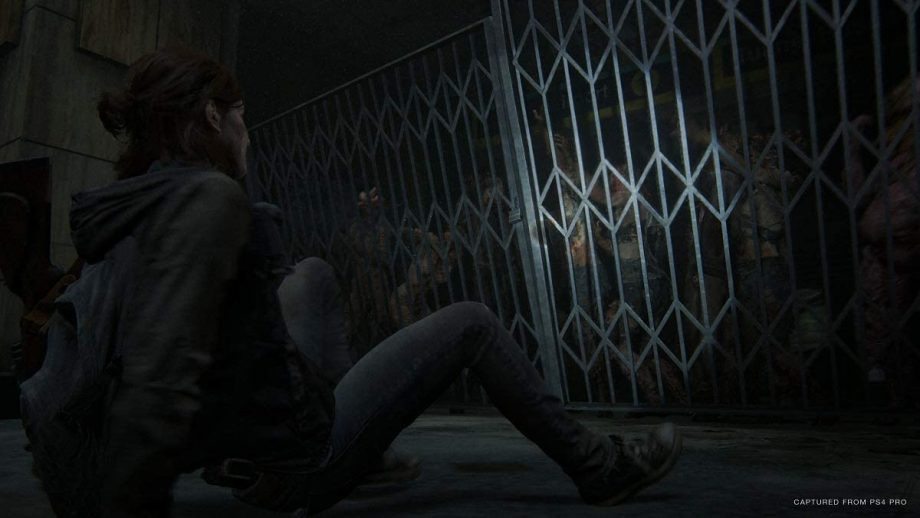The Last of Us 2 Steelbook Edition (PS4)